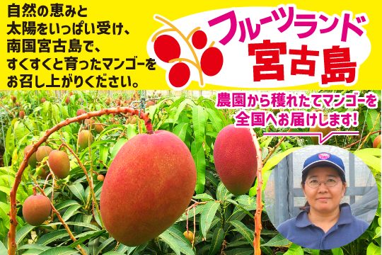 フルーツランド宮古島