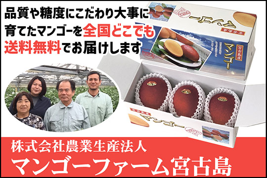 マンゴーファーム宮古島