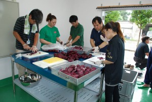 手作業によるイモのカット＝６日、イモのペースト製造施設