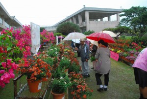 菊の愛好者らに人気のあった菊まつり＝２日、鏡原中学校