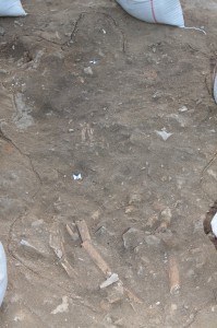 同じ遺跡の中から発見された無土器時代のものと見られる人骨
