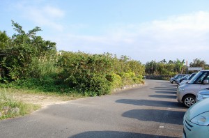 伝統工芸品研究センターの移転先に決まった旧蝶々園入口向かって左側の一角