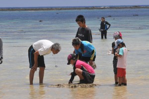 サンゴや海の生物を観察する子どもたち＝21日、城辺新城海岸