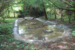 降雨で安定した水位が戻った人工池＝５日、平良大野山林