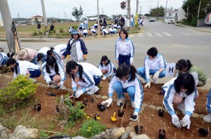 小野高校の生徒たちがブッソウゲ３０００本を植え付けた＝５日、池間島グラウンドゴルフ場