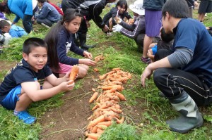 育てたニンジンを収穫する子供たち＝６日、多良間小「にこにこ農園」