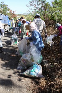 市民ら約８０人が参加して行われた清掃作業＝２日、城辺福里の通称「ナンコウジ」