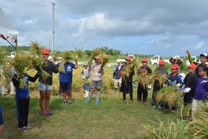 収穫後、子供たちは来年の豊作を願い踊った＝７日、宮島小学校の田んぼ