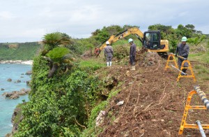 市と受注業者の間で合意された協議書に基き、現場に大量に残存している不法投棄ごみの再撤去が始まった＝１４日、保良の東平安名崎近くの崖下