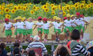 ヒマワリの大輪の花に囲まれて、歌や踊りが行われたコンサート＝１３日、宮総実第２農場