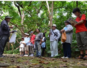 宮古島の自然や動物たちの食物連鎖などを学びながら野鳥を観察した参加者たち＝１５日、大野山林