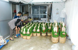 正月準備で門松を購入する客が見られた＝２７日、市内の花屋