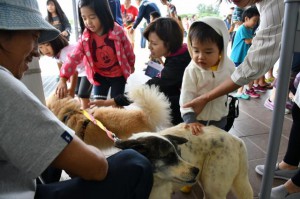 保護犬と触れ合う子どもたち＝２日、ＪＴＡドーム宮古島