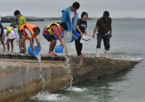 タマンの幼魚を放流する児童たち＝18日、池間島の水浜広場
