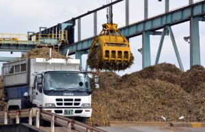 操業開始１カ月で原料４万７１４０㌧を搬入した沖縄製糖宮古工場＝６日、下地上地