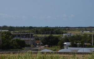 緑豊かな嘉手苅集落