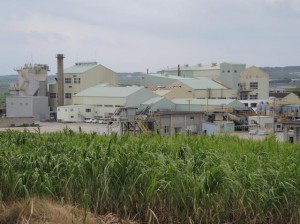 20－21年期の操業を来年１月４日の週に始める宮古製糖城辺工場＝11日、城辺砂川