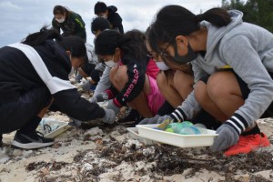漂着ごみを分別調査する児童たち＝11月30日、仲泊トゥブリ