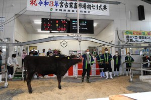 ２０２１年の肉用牛初競り。１番牛には１２８万８０００円の高値が付いた＝19日、ＪＡおきなわ宮古家畜市場