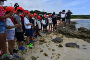 アオウミガメを見送る児童たち＝20日、インギャービーチ