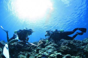 職場体験学習で地元の海の素晴らしさを実感＝多良間近海（写真は郷土マリンサービスＪＡＷＳⅡ提供）