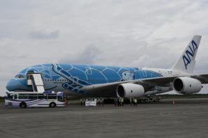 ＡＮＡの旅客便として下地島空港に初就航した「フライング　ホヌ」。座喜味市長らが横断幕で乗客を出迎えた＝30日、下地島空港