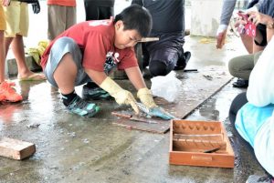 魚のうろこ取りに挑戦する児童＝20日、狩俣漁港