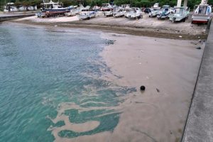 漁港内には大量の軽石が流れ込んでいる＝29日、高野漁港