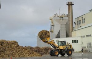 宮糖城辺工場は２年連続で年内操業を実施する（資料写真）