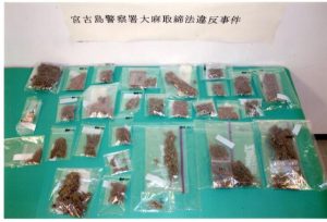 数年前に同署管内で発生した薬物事案で押収された大麻（資料写真）
