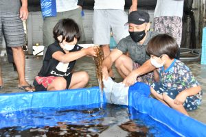 モズクつかみ取りでは子供たちが両手いっぱいにモズクを袋に入れていた＝17日、宮古島漁業協同組合
