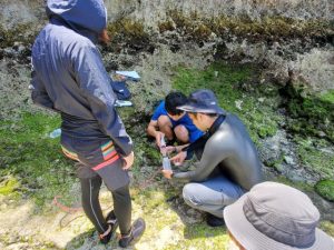 海岸に流れる地下水の水質を調査するため水を採取する学生ら＝字仲筋の海岸
