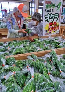島産の新鮮オクラが安価で販売された「オクラの日」のキャンペーン＝６日、ＪＡファーマーズマーケットあたらす市場
