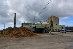 宮糖伊良部工場の原料搬入が終了。宮古地区の製糖４工場の搬入実績は36万トンの豊作となった＝２日、伊良部伊良部