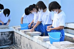 ヒメジャコガイを移植する生徒たち＝４日、市海業センター