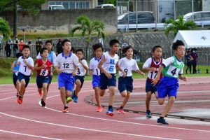 力走する５年男子８００メートルの選手たち＝22日、市陸上競技場