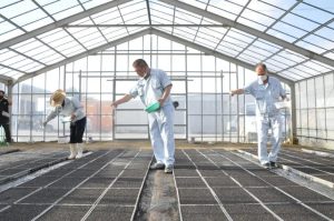 播種式で種をまき豊作を祈願する城辺葉たばこ生産振興会の砂川会長（中央）ら＝26日、城辺の育苗ハウス