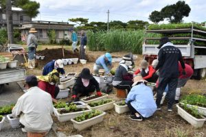 サルビアなどの花約６０００本を植え付ける参加者＝20日、字伊良部の県道２０４号線