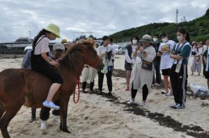 ＳＤＧｓ観光体験ツアーで宮古馬での乗馬を体験する参加者＝13日、来間漁港