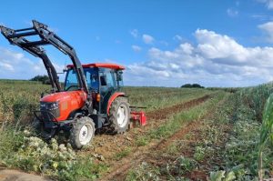 ２期目に向けて耕運作業を始めた＝26日、下地洲鎌