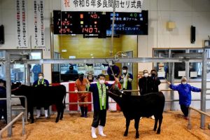 １番牛が最高値１５４万７７００円を付けた初競り＝19日、ＪＡおきなわ多良間家畜市場
