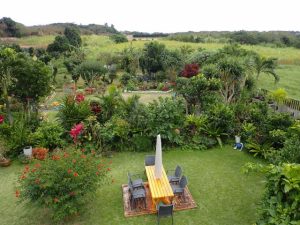 緑化推進賞の瑞慶覧さん宅（グリーン部会提供）