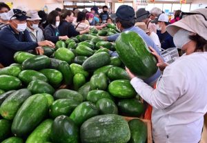 販売開始と同時に１個１００円のトウガンが飛ぶように売れた即売会＝10日、ＪＡファーマーズマーケットあたらす市場