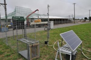 子牛が野犬とみられる犬に噛まれ死亡した現場に設置された捕獲用のわな。写真奥は子牛が飼われていた畜舎＝14日、上野宮国