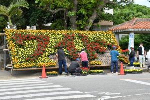２８００本の花で「ワイドー」の文字を浮かび上がらせた＝10日、下地公民館前