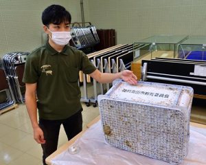 12年を経て宮古島に漂着した陸前高田市教育委員会のボックスと発見までの経緯を説明した学芸係の湯屋さん＝６日、市総合博物館