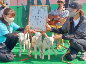 子ヤギの命名イベントが行われた＝22日、上野宮国