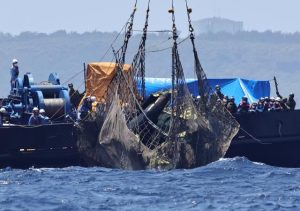 作業船によって引き揚げられたヘリの機体＝２日午前、池間島沖