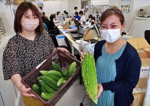 愛情いっぱいのゴーヤーが今週も匿名の男性から届けられた＝11日、市役所