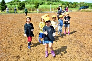 ヒマワリの種をまく園児たち＝12日、平良東仲宗根添